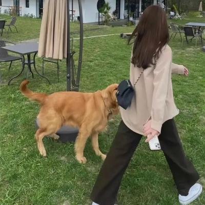 飘零梦